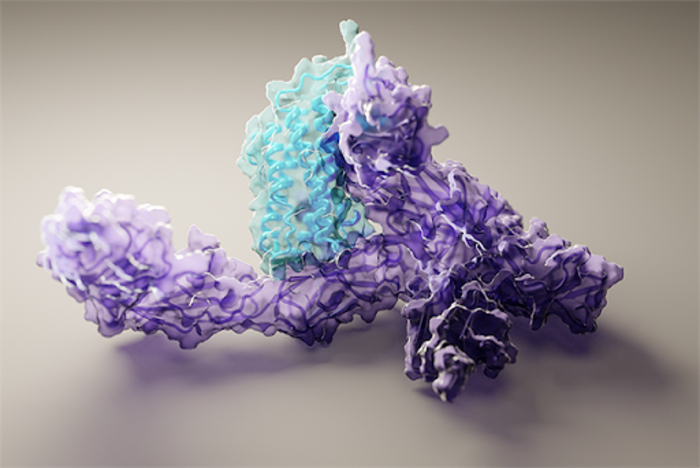 Protein prediction structure