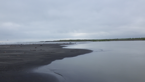 Mukawa estuary, Hokkaido