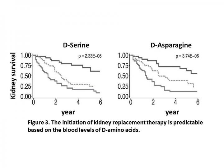 Figure 3 人工透析を回避できる！？ 慢性腎臓病の予後推定に有効なアミノ酸を発見