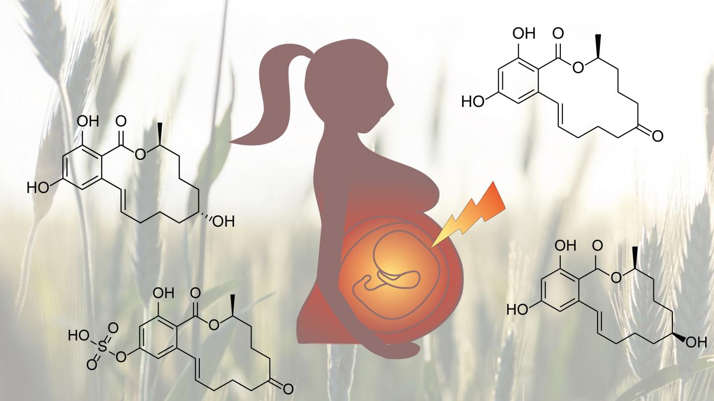 Migration through the Placenta