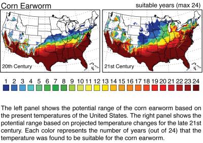 Corn Earthworm Media