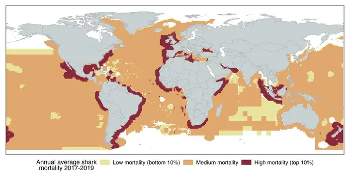 Shark Mortality Map