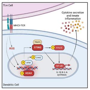 NF-κB: Ten Years After: Cell