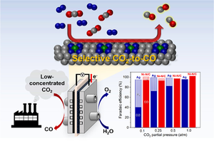 Low concentrations of CO2→CO direct conversio | EurekAlert!