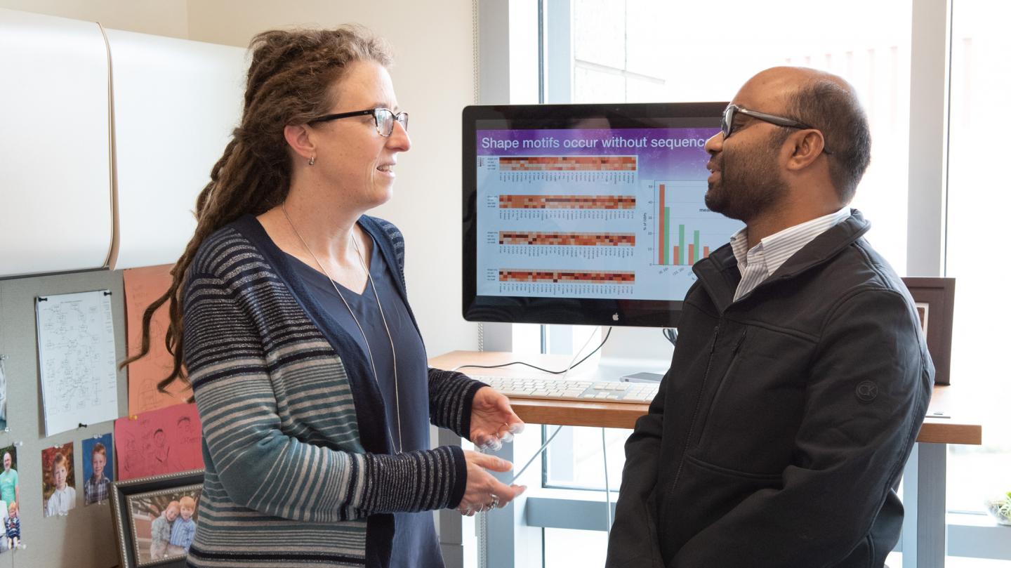 Gladstone Scientists Katherine Pollard and Hassan Samee