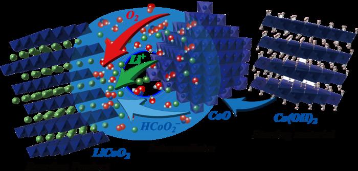 Reaction pathway of the hydroflux process to form layered lithium cobalt oxide