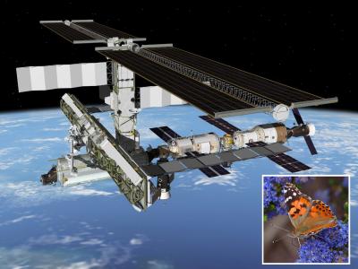 International Space Station