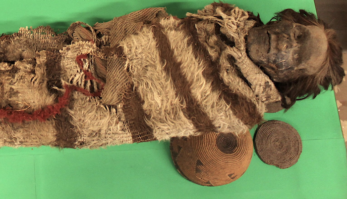 Mummified remains