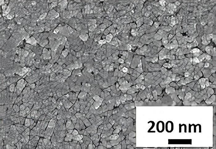 A SEM image of ZnO NPs