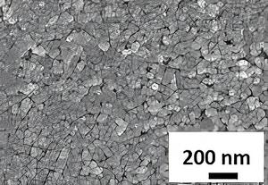 A SEM image of ZnO NPs