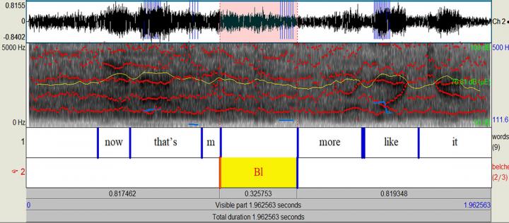 Depiction of a Belched Word on a Waveform and Spectrogram