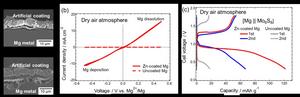 Suppressed Mg deactivation by artificial Zn coating