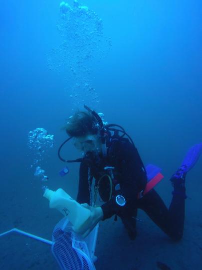 Karen Petersen Sampling