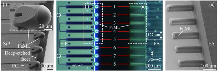 Coupling between a single-mode fiber array (FA) and an array of edge-emitting SiP waveguides using 3D-printed facet-attached microlenses (FaML, microscope image in the center).