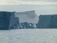 Icebergs in Pine Island Bay