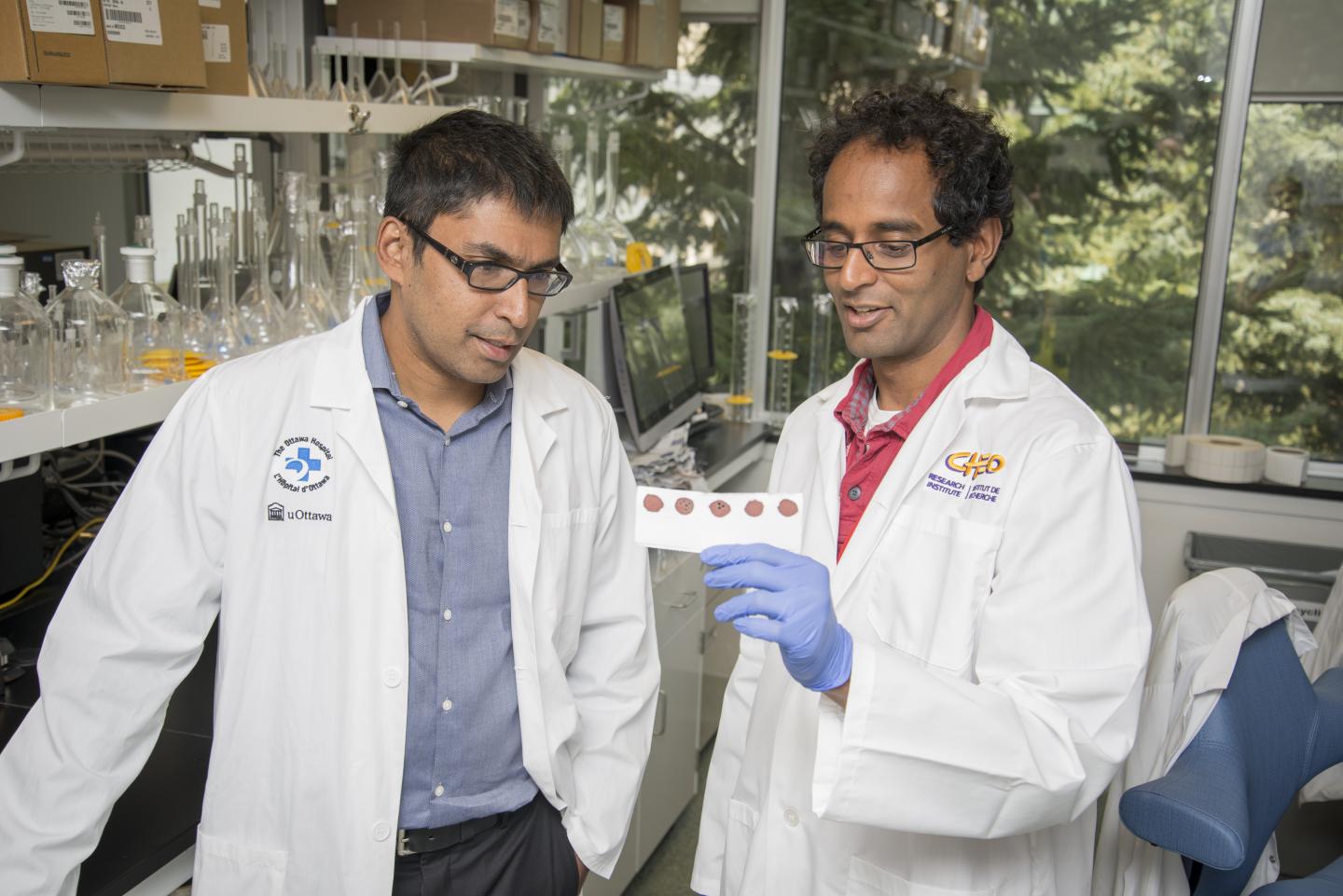 Simple Blood Test Could Determine Preterm Birth Rate in Low-Resource Countries