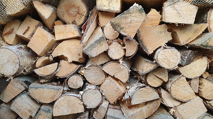 Researchers Harvest Electricity from Wood Soaking in Water