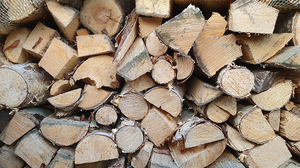 Harvesting electricity from drying out wet wood