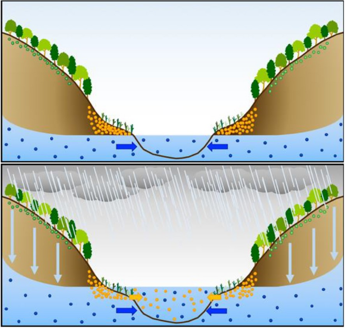 Mechanism of the increase of stream nitrate levels during rains