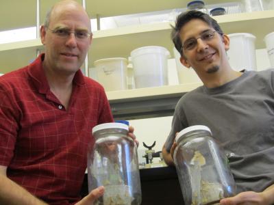 Neil Vickers and José Crespo, University of Utah