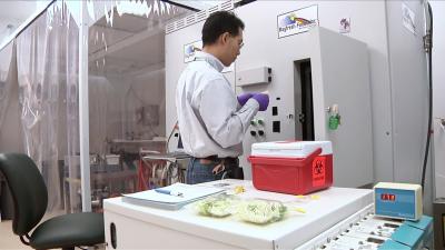 Sanghyup Jeong, Michigan State University