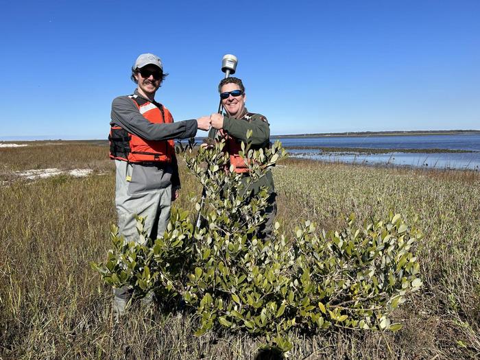 Scott Jones (left) Ches Vervaeke (right) with northernmost mangrove