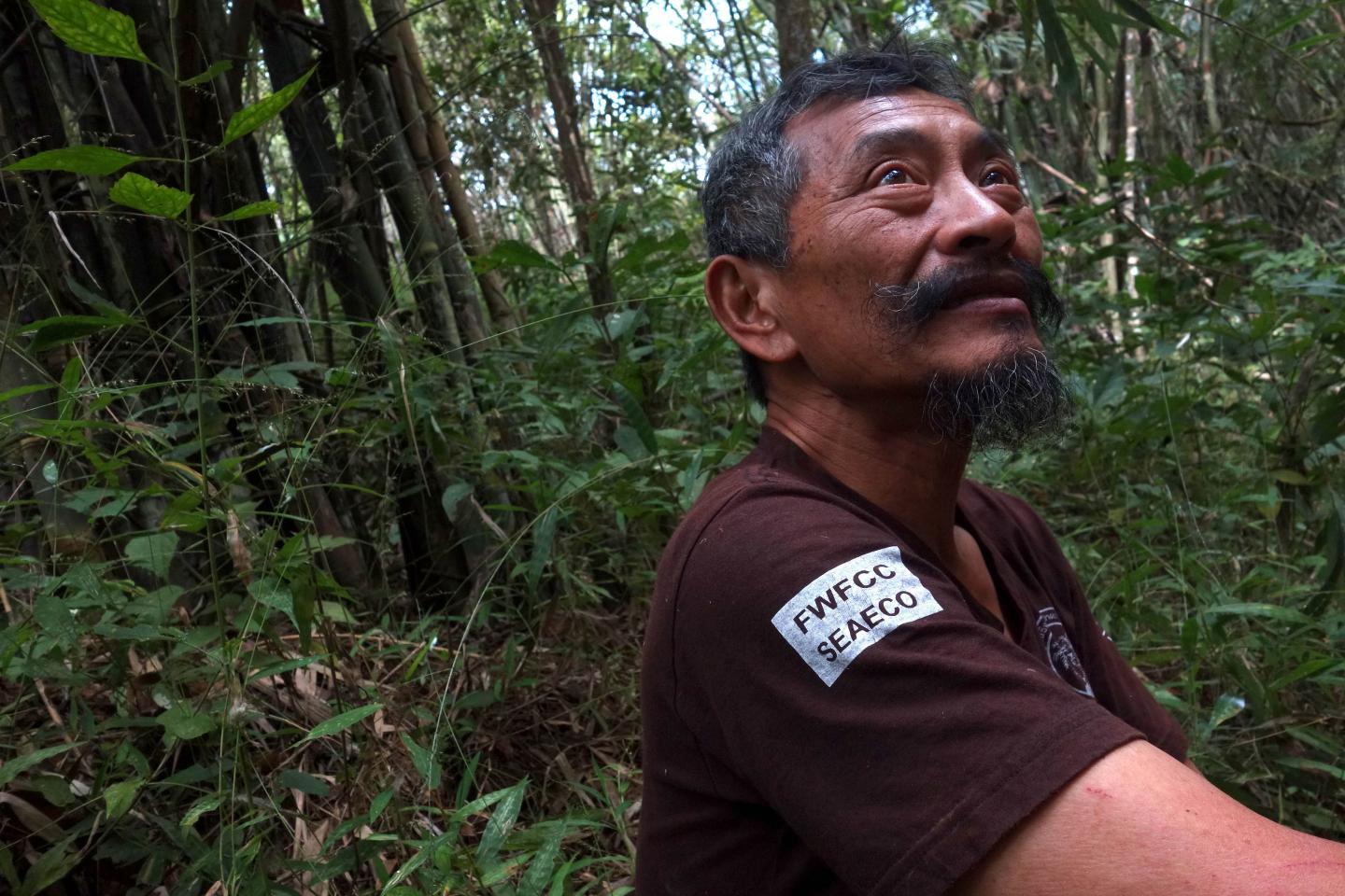 New Fish Species Named for Thai Conservationist