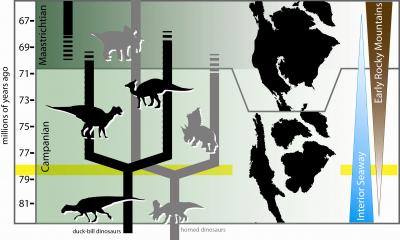 Dinosaur Diversity Information