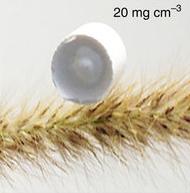 Boron Nitride Nanosheet