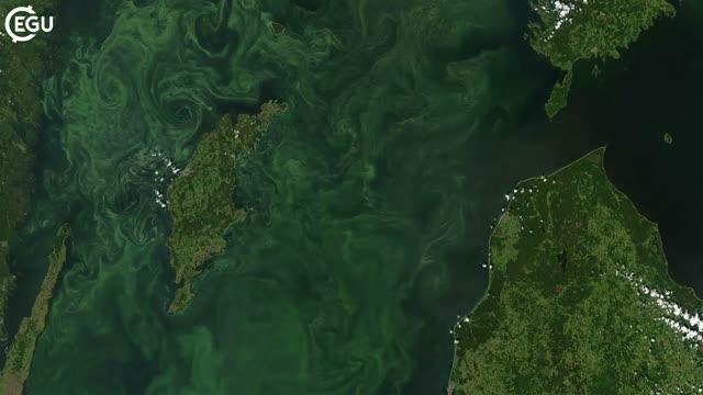 Video Summary: Oxygen Loss in the Coastal Baltic Sea is 'Unprecedentedly Severe'