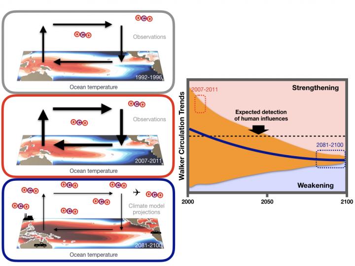 Schematic of Pacific Walker Circulation Changes