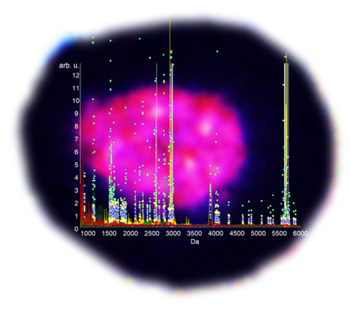 Research Image [image] Eurekalert Science News Releases