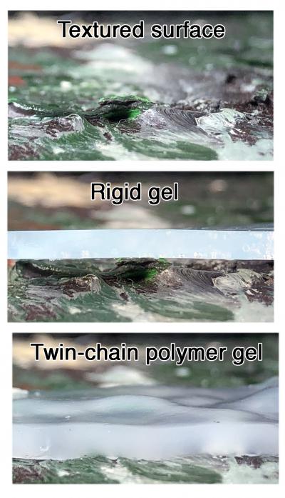 Hydrogel Adaptability