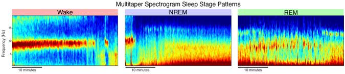 Multitaper Spectrogram Sleep Stage Patterns