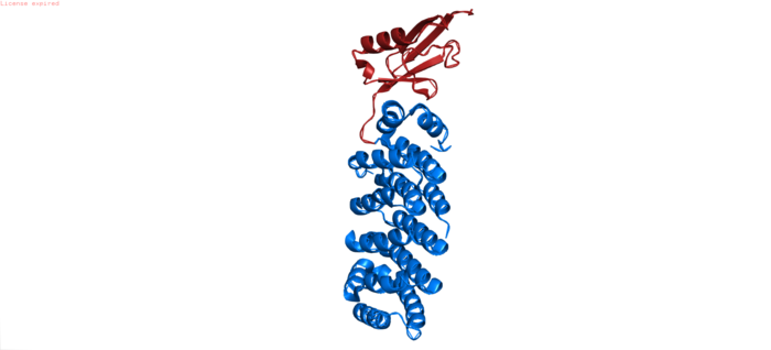 SUMO protein modifier