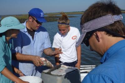 Northeastern Oyster Reef Research Team