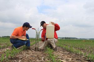 Field Measurements