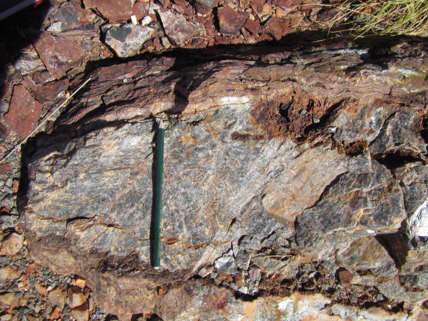 Rocks containing biologically relevant organic molecules