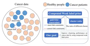 Compound weak label prior plays an essential role in increasing clustering confidence