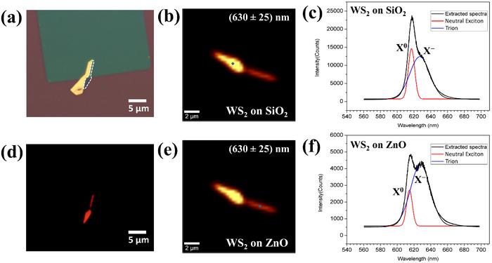 Selective Enriching of Trionic Emission in a WS2-ZnO Hybrid through Type-II Band Alignment