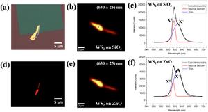 Selective Enriching of Trionic Emission in a WS2-ZnO Hybrid through Type-II Band Alignment