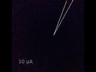 Scientists get first close look at stimulated | EurekAlert!