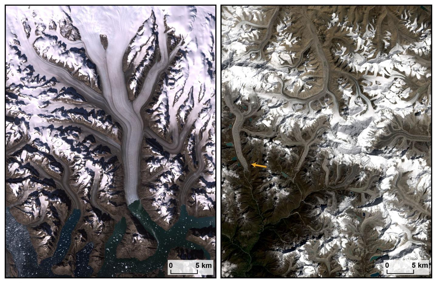 Debris Cover in Greenland and the Himalaya