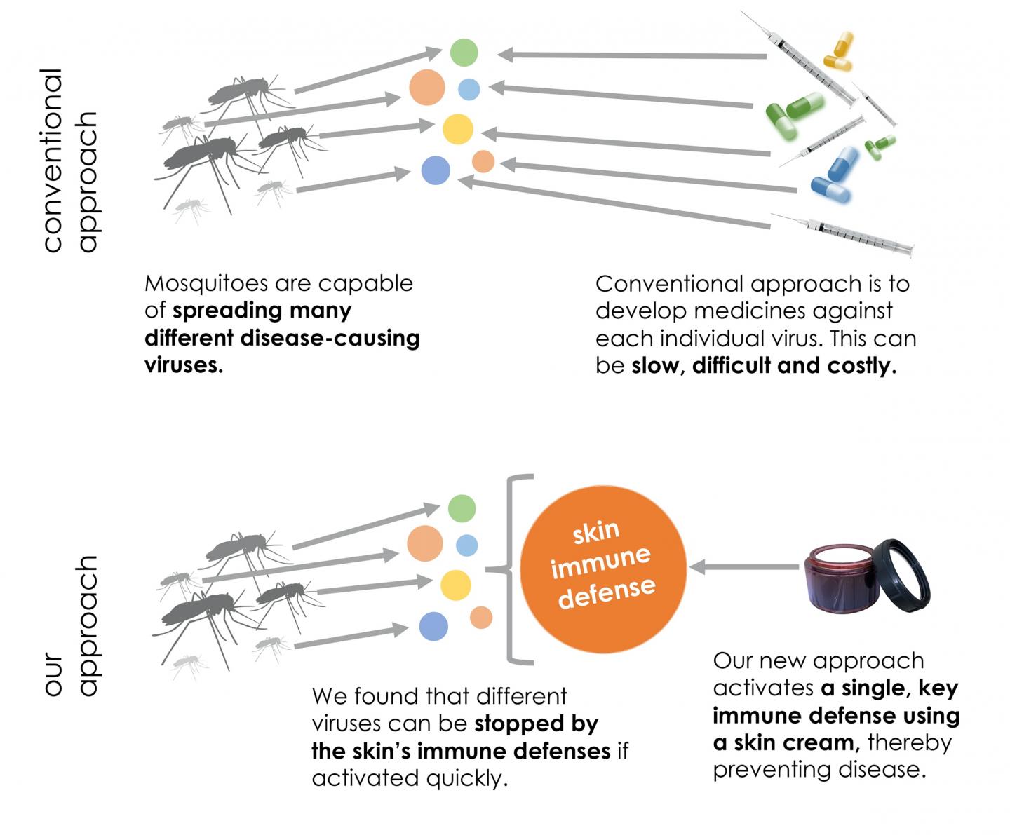 Topical Treatment for Mosquito Bites Provides Pan-Viral Protection (3 of 5)