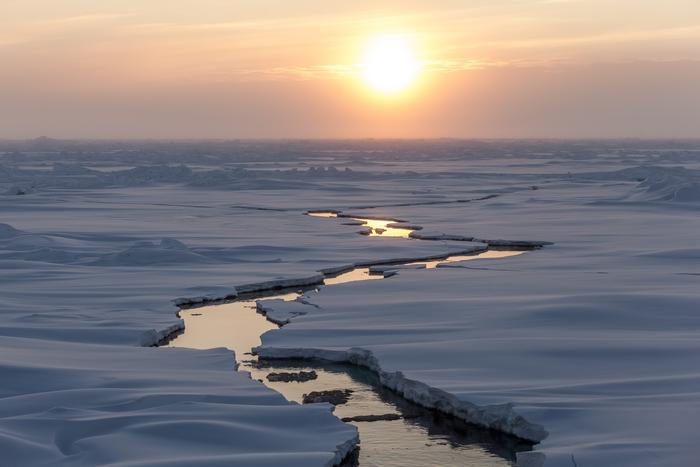 Arctic sea ice.