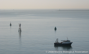 RV Sepia in Plymouth Sound.