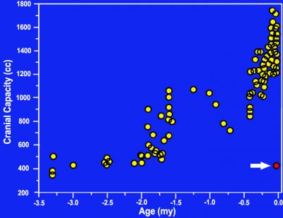 Graph showing LB1 is outlier