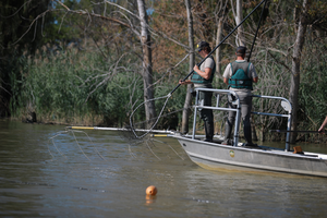 Grass Carp Strike Team Electrofishing Boat