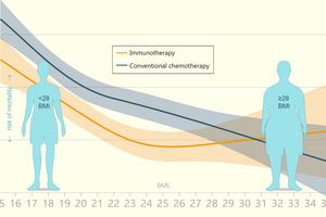 Risk of mortality during cancer treatment in relation to BMI