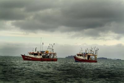 Fishing Boats